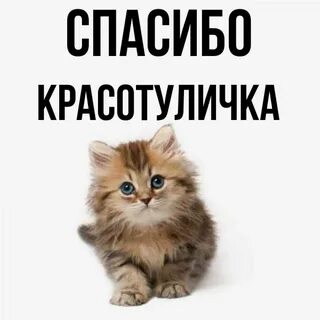 Красотуличка
