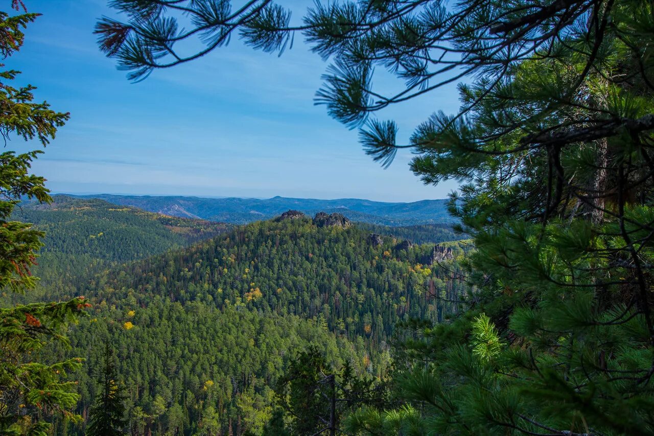 унгут красноярск. уральская горная тайга. леса в красноярском крае. природный заповедник «столбы». гора борус красноярский край.