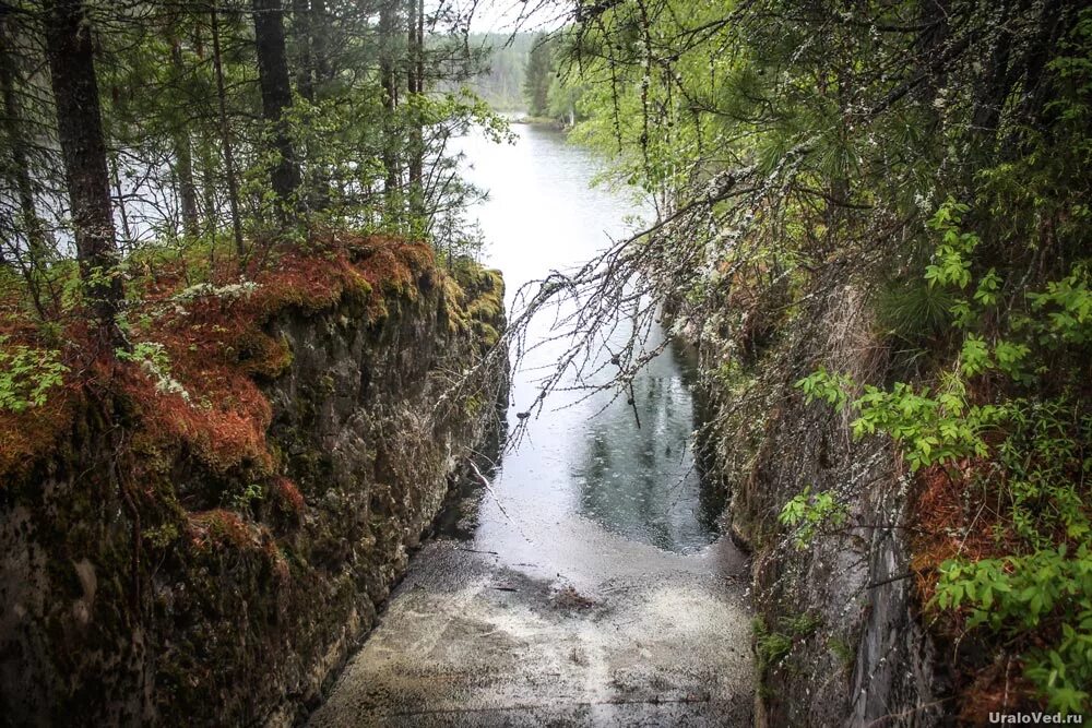 Река талица свердловская область. Река большая дарья. Река талица свердловская область. Река талица свердловская область. Природа северного урала свердловская область.