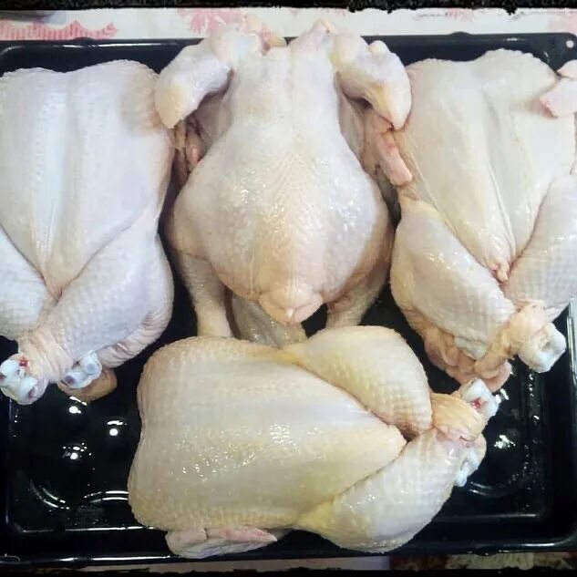 Транспортировка мяса птицы. Продать мясо кур. Тушка бройлера. Продать мясо кур. Курица тушка.
