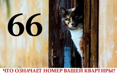 Твой номер 10