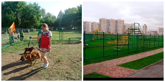 С собакой можно москва