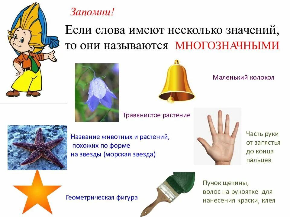 Однозначное многозначное значение слов. Многозначные слова. Однозначные и многозначные слова. Многозначные слова примеры. Многозначные слова 1 класс.
