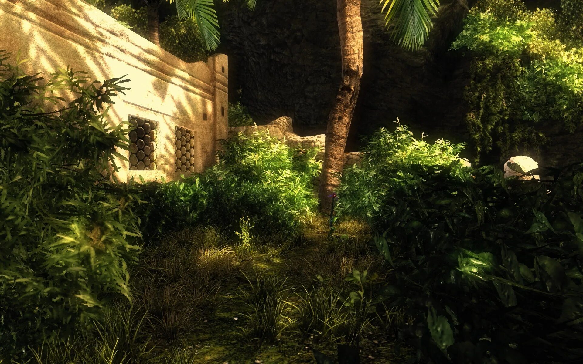 Risen туман. Остров фаранга risen 2. Игра risen 1. Risen (xbox 360). Risen point.