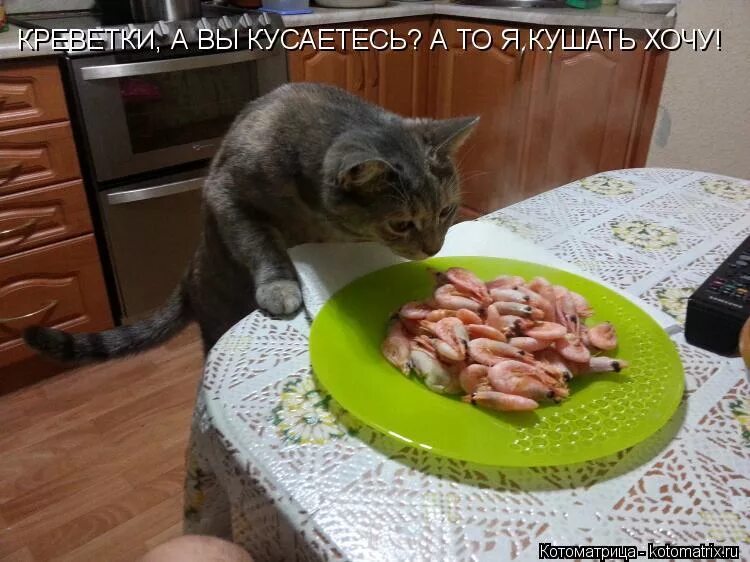 Просто кушать будем