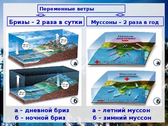 Бриз меняет направление 2 раза в. Схема Муссона география 6 класс. Схема бриза и Муссона география 6 класс. Схема бризов и муссонов 6 класс. Схема образования Муссона.