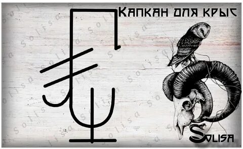Став крыса