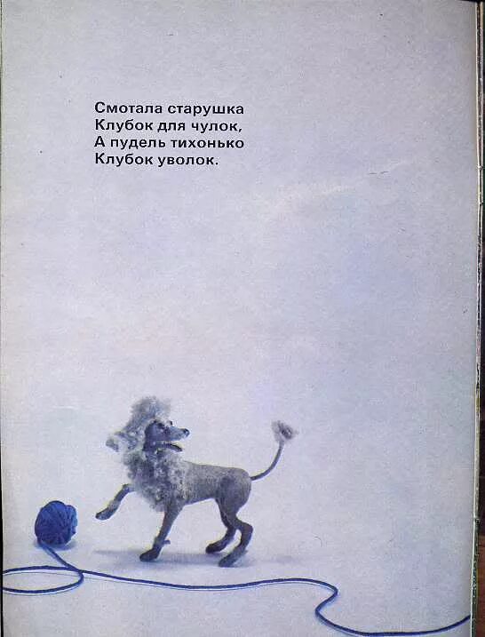 Стихотворение пудель. Загадка про пуделя для детей. Детская книга про пуделя. Пудель Маршак. Пудель в сокращении