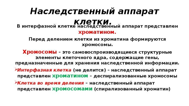 Выполняемая функция генетического аппарата