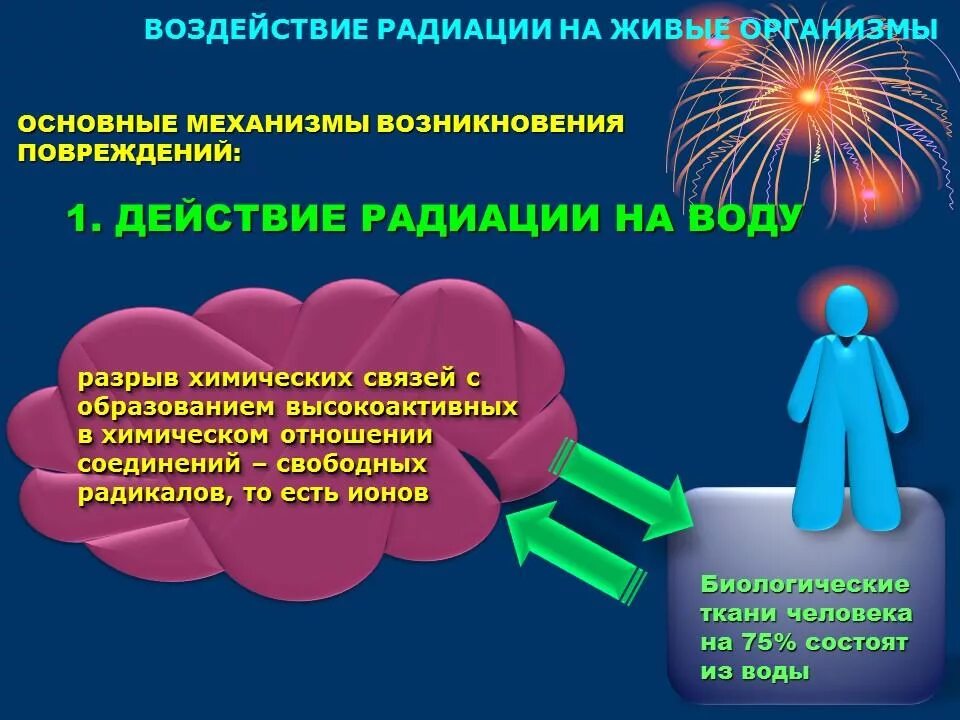 Действие радиоактивного излучения на человека. Влияние ионизирующих излучений на живые организмы. Влияние ионизирующего излучения на живые организмы. Воздействие излучения. Воздействие радиационного излучения на живые организмы.