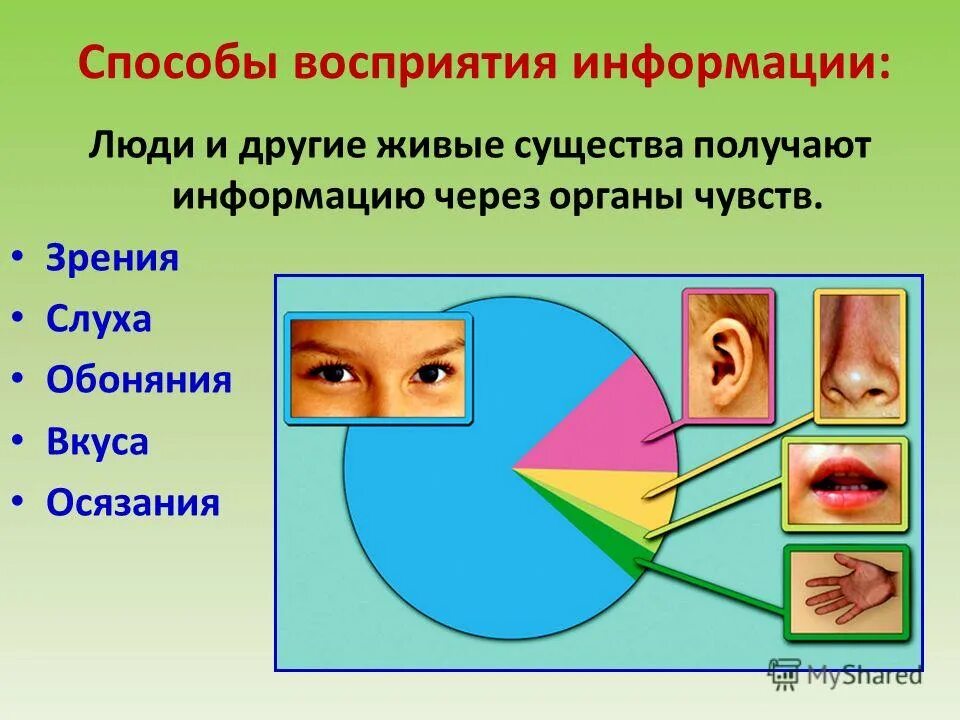 Человек получает информацию через органы чувств. Информация об окружающем мире людей и живые существа получают через. Человек получаетминформацию. Восприятие информации человеком через органы чувств. Способы получения информации 3 класс информатика.