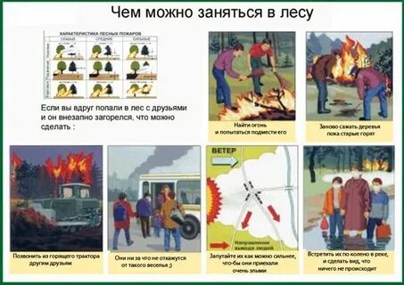 Лесные пожары приказ