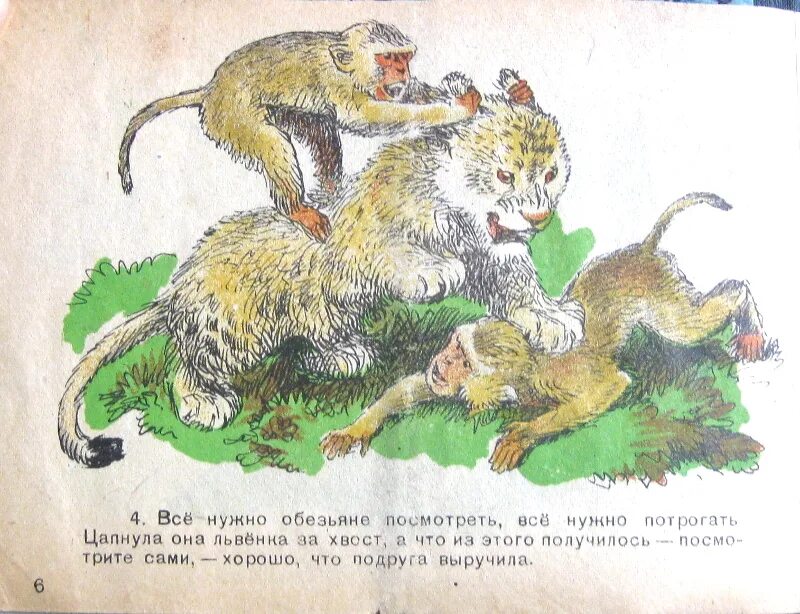 Чаплина фомка белый медвежонок. Чаплина малышка. Чаплина фомка белый медвежонок. Чаплина в. Книги чаплиной для детей.