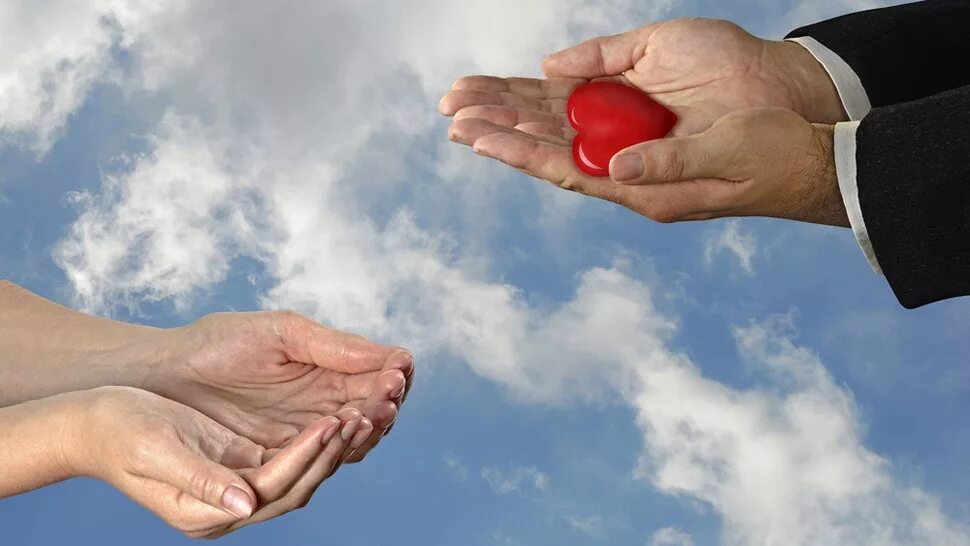 Высказывания про щедрость. Добро людям. Чистое сердце. Дети и много сладостей. Птица на ладони.