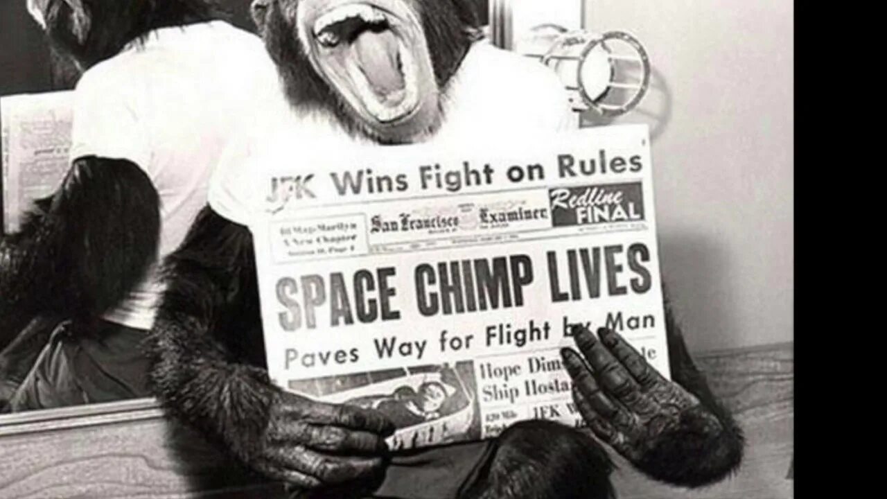 Первая обезьяна полетевшая в космос. Советские обезьяны в космосе. Шимпанзе Хэм космонавт.