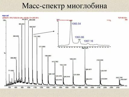 Spectra mass