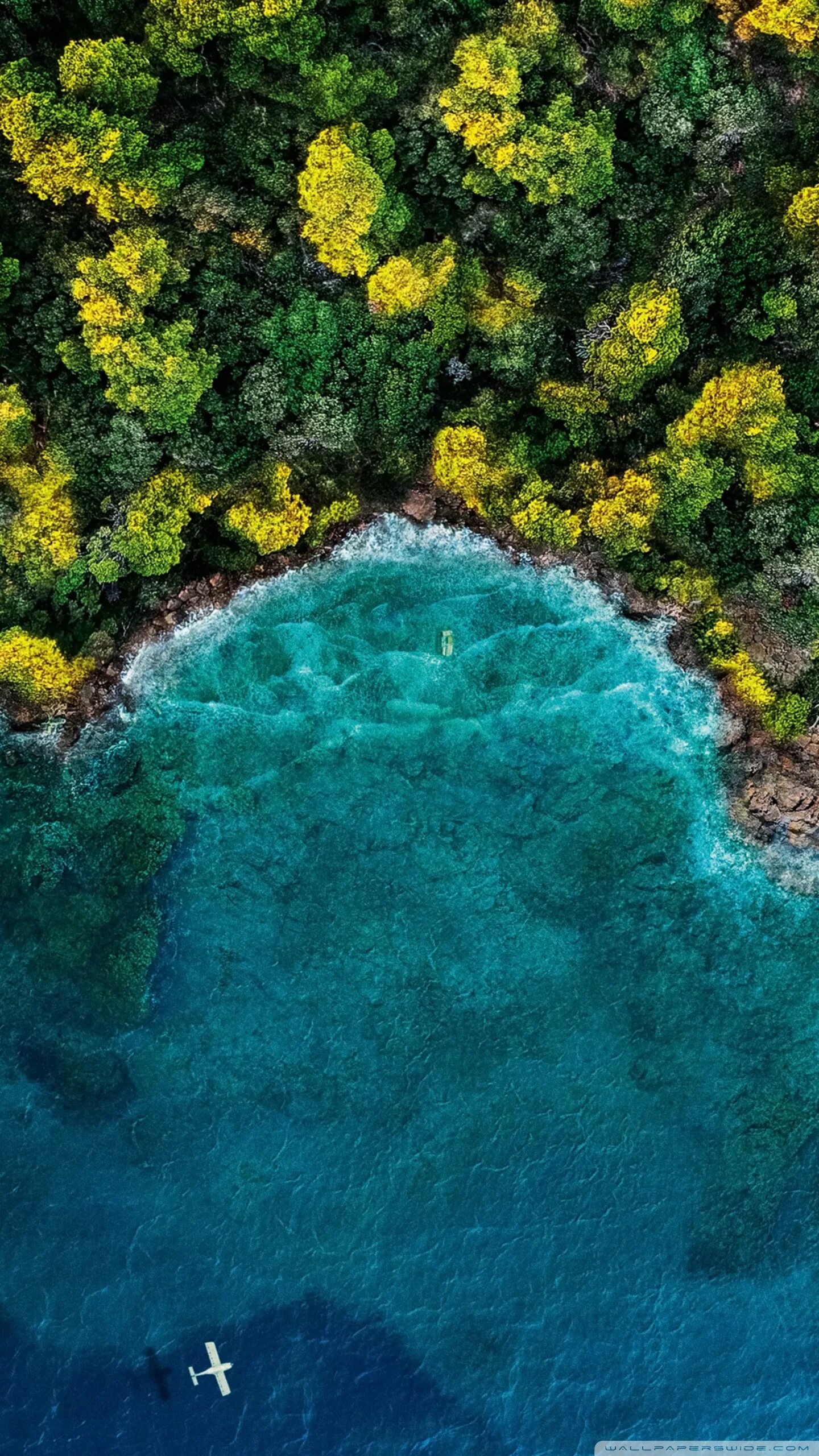 Остров обои айфон. Море сверху. Вид сверху. Океан вид сверху. Лес вид сверху.