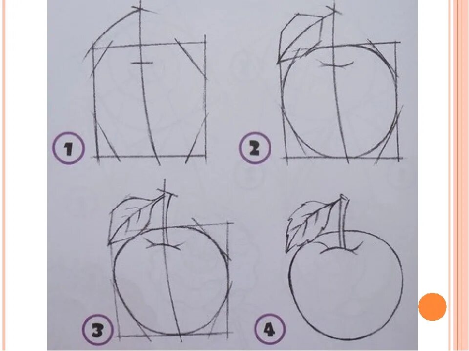 Уроки рисования 6 класс. Поэтапное рисование яблока. Поэтапное рисование яблока карандашом. Яблоко рисунок карандашом. Уроки рисования яблоко.