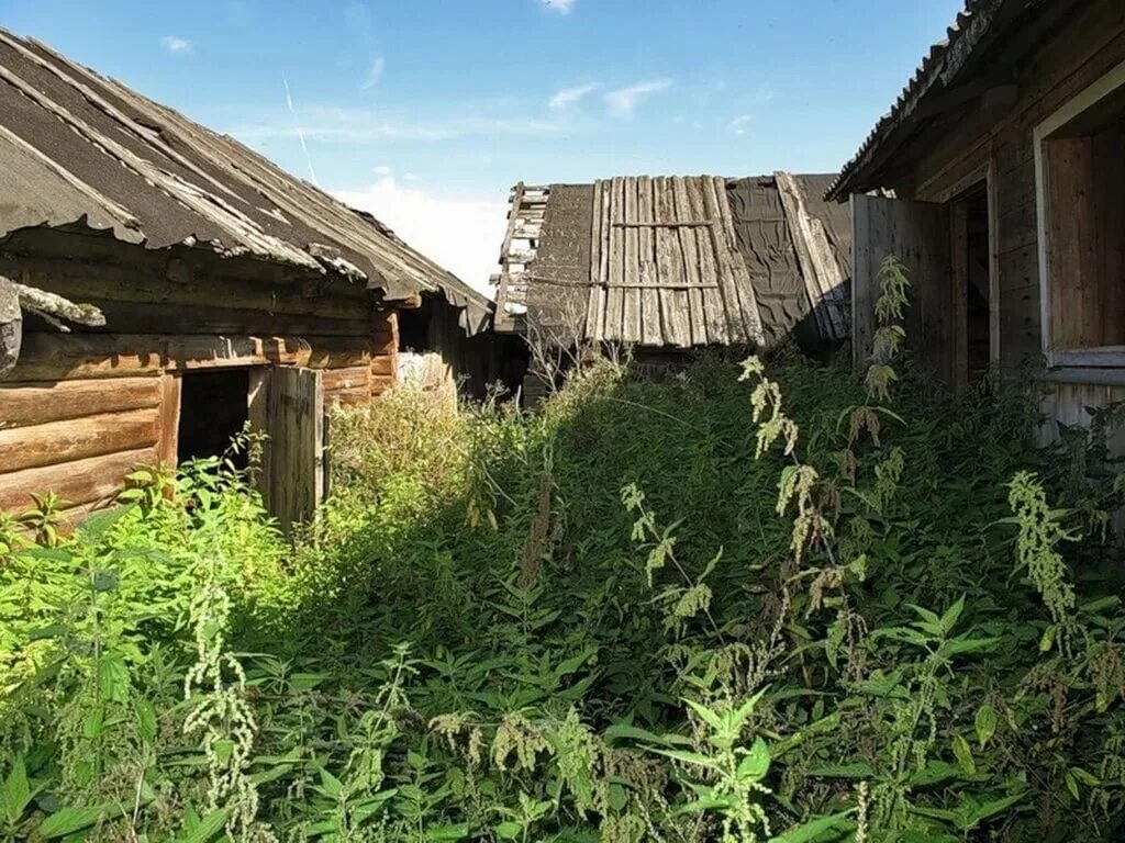 Заросший дом в деревне. Заброшенная деревня. Заброшенные Деревенские дома. Заброшенный деревенский дом. Заросшая деревня.