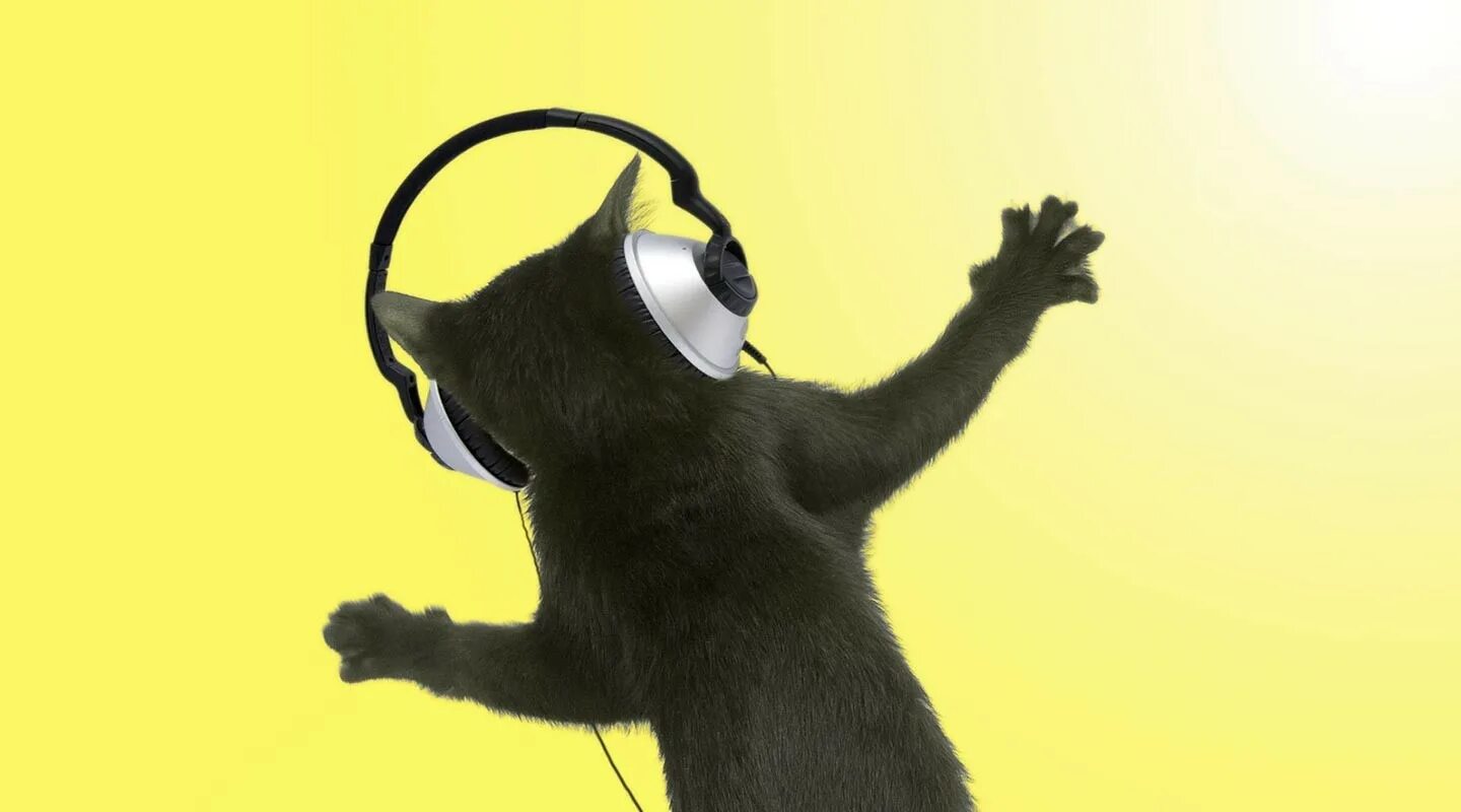 Песня зверь 2. Эш из зверопоя 2. Группа звери 2000. Группа звери 2022. Группа звери 2000 год.