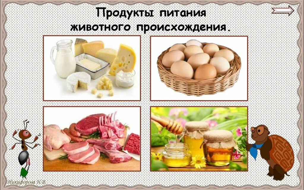 Технология продуктов питания из растительных. Продукты питания животного происхождения. Пища животного происхождения продукты животного происхождения. Технология продуктов питания животного происхождения. Продукты питания животного происхождения технолог.