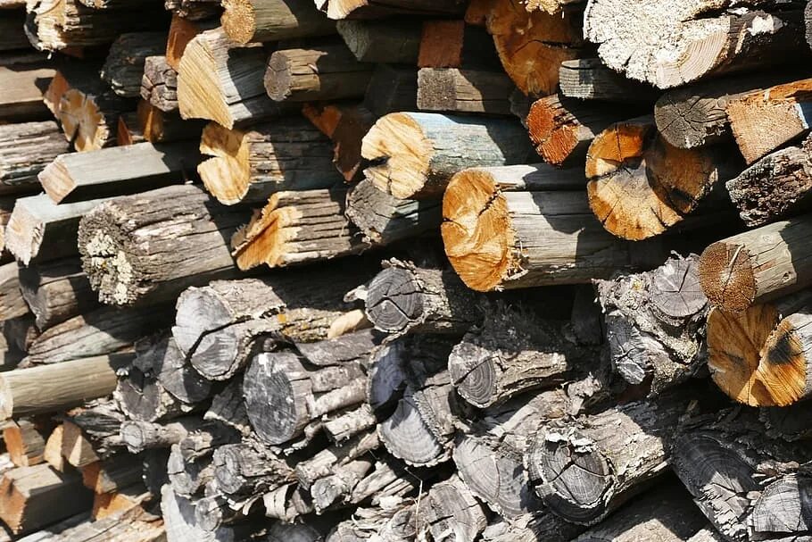 Dump logs