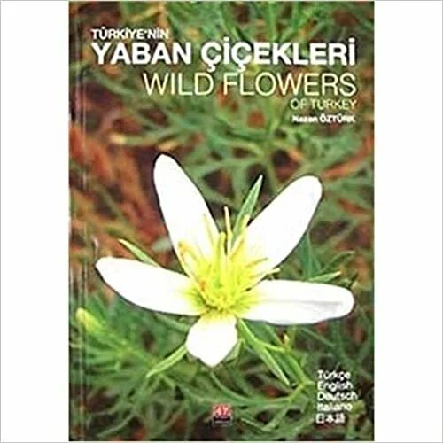 Yaban cicekleri турецкий. Wild Flower RM картинка обложки песни.