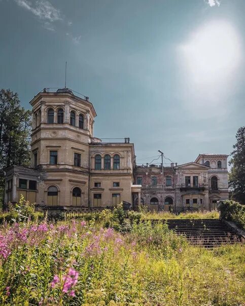Михайловская дача (57 фото)