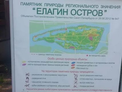 Елагин расписание