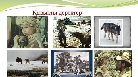 Керемет порно видео