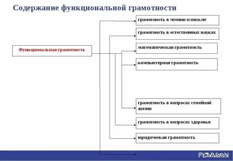 Функциональная грамотность взрослая еда