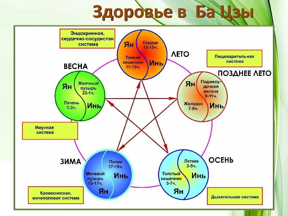 Схема 10 богов ба Цзы расшифровка. У-син 5 элементов. Круг порождения элементов у син. Элементы стихий.