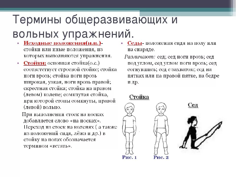 Стойки право. Терминология ору по физкультуре. Исходные положения терминология гимнастика. Основные термины в гимнастике. Гимнастическая терминология стойки.