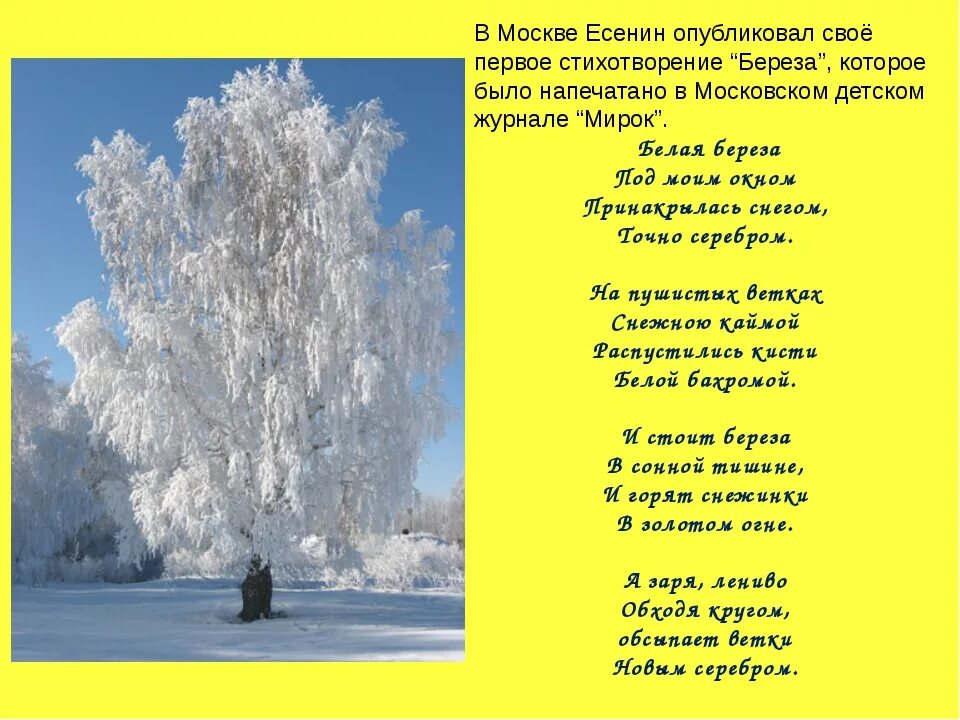 Стихотворение белого родине. Стихи Есенина. Стихи Есенина для детей. Стихи Есенина о природе. Есенин с. "стихи".