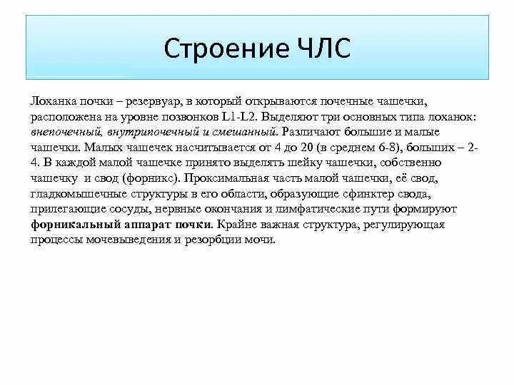 Чашечно-лоханочная система почки. Чашечно-лоханочная система анатомия. Строение ЧЛС. Структуры форникального аппарата почки.