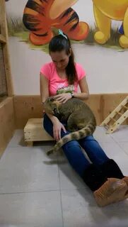 Страна енотия дудинская ул 3 красноярск фото