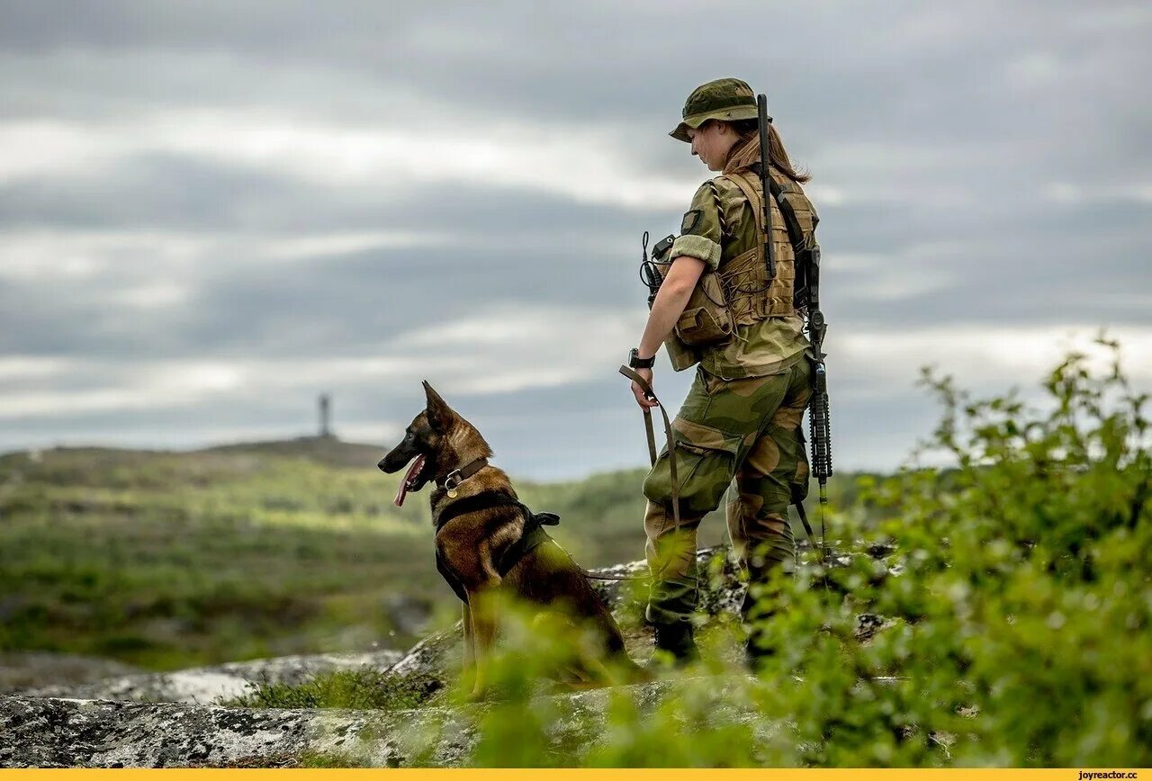 Военный дозор. Пограничник. Пограничник на границе. Пограничник с собакой. Собака на границе.