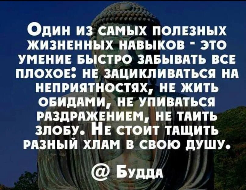 Прожить обидеть. Один из самых полезных жизненных навыков. Один из самых полезных жизненных навыков это умение быстро. Один из самых полезных навыков это умение быстро забывать. Один из самых полезных жизненных навыков это умение быстро забывать.