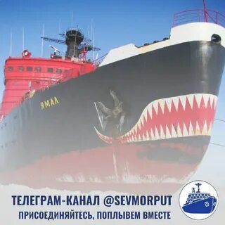 Морской банк мурманск курс