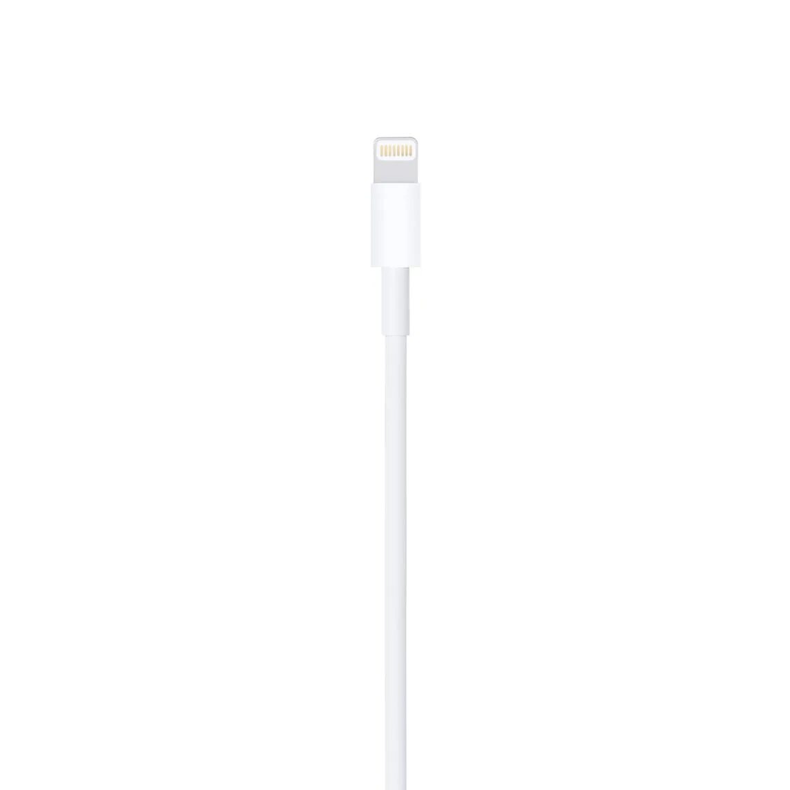 Usb lightning оригинал. Кабель Apple USB Type-c - Lightning (mqgj2zm/a) 1 м. Apple кабель USB-C/Lightning 2 м. Кабель Apple USB - Lightning mxly2zm/a (1 метр). Кабель Apple USB - Lightning (md819zm/a) 2 м.