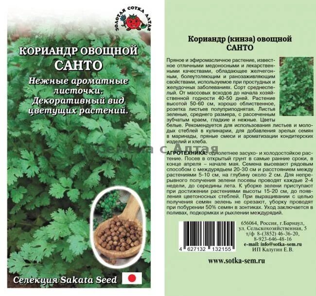 кориандр индия. кориандр сколько добавлять. кориандр сердце. кориандр описание. кориандр сколько добавлять.