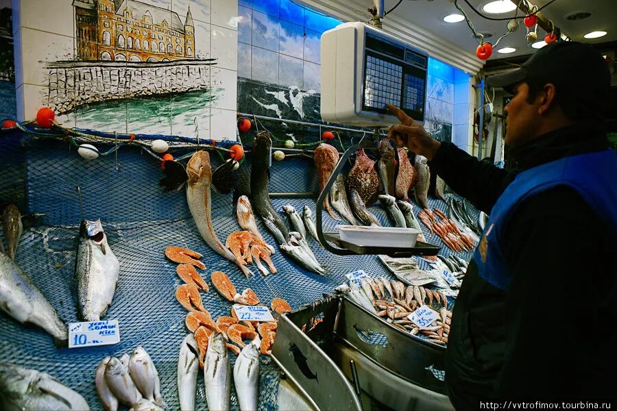 Где рыбный рынок на волне. Рыбный рынок в Алании. Рыбный рынок Турция. Кемальпаша Турция рыбный рынок. Аланья рыбный базар.