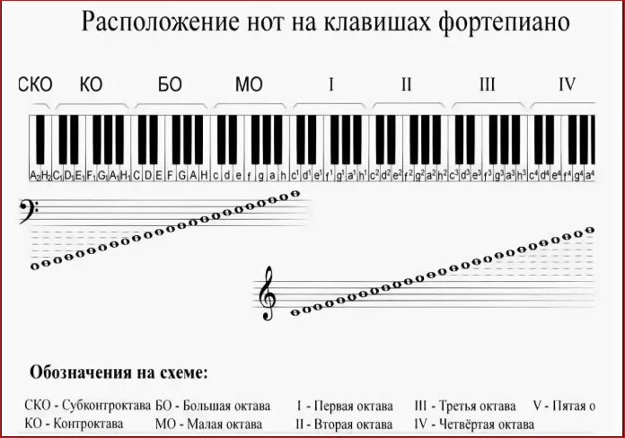 Система октав