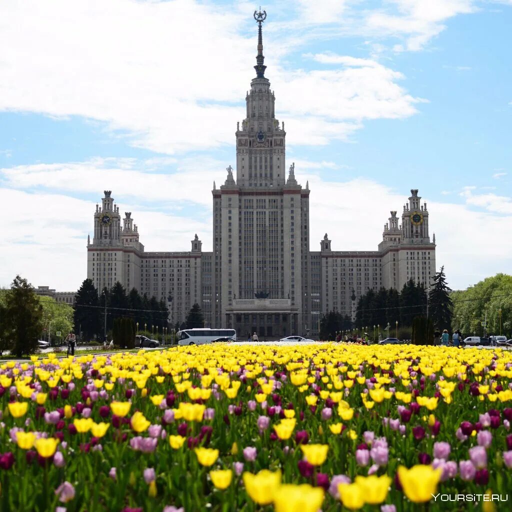 Цветков мгу. Ботанический сад МГУ Москва. Москва Ботанический сад МГУ Аптекарский огород. Аптекарский огород МГУ. Ботанический сад биологического факультета МГУ.