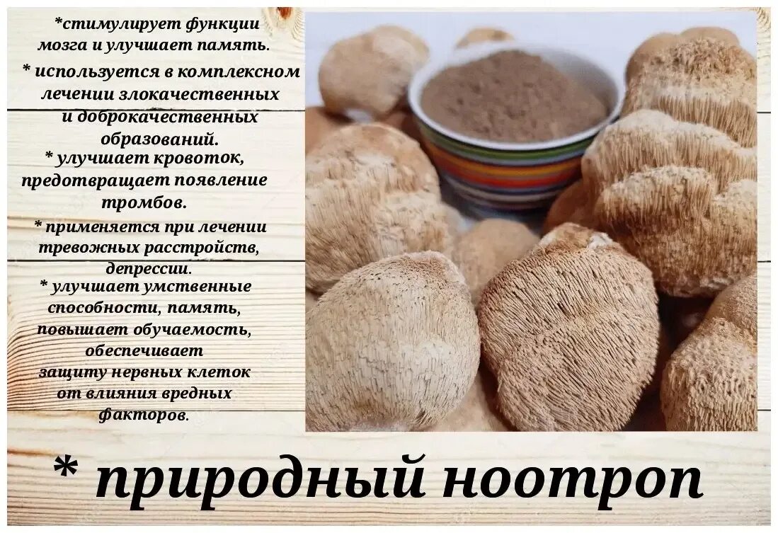 Ежовик гребенчатый полезные свойства. Ежовик гребенчатый сушеный. ежевик гребенчатый пищевая ценность. плесневелые грибы и их названия. примеры плесневых грибов.