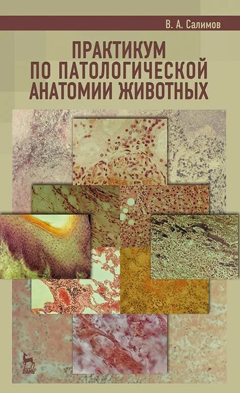 Патологическая анатомия книги зарубежные. Учебник по патанатомии животных. Книга патанатомия животных. Анатомия и физиология сельскохозяйственных животных. Патологическая анатомия животных учебник.