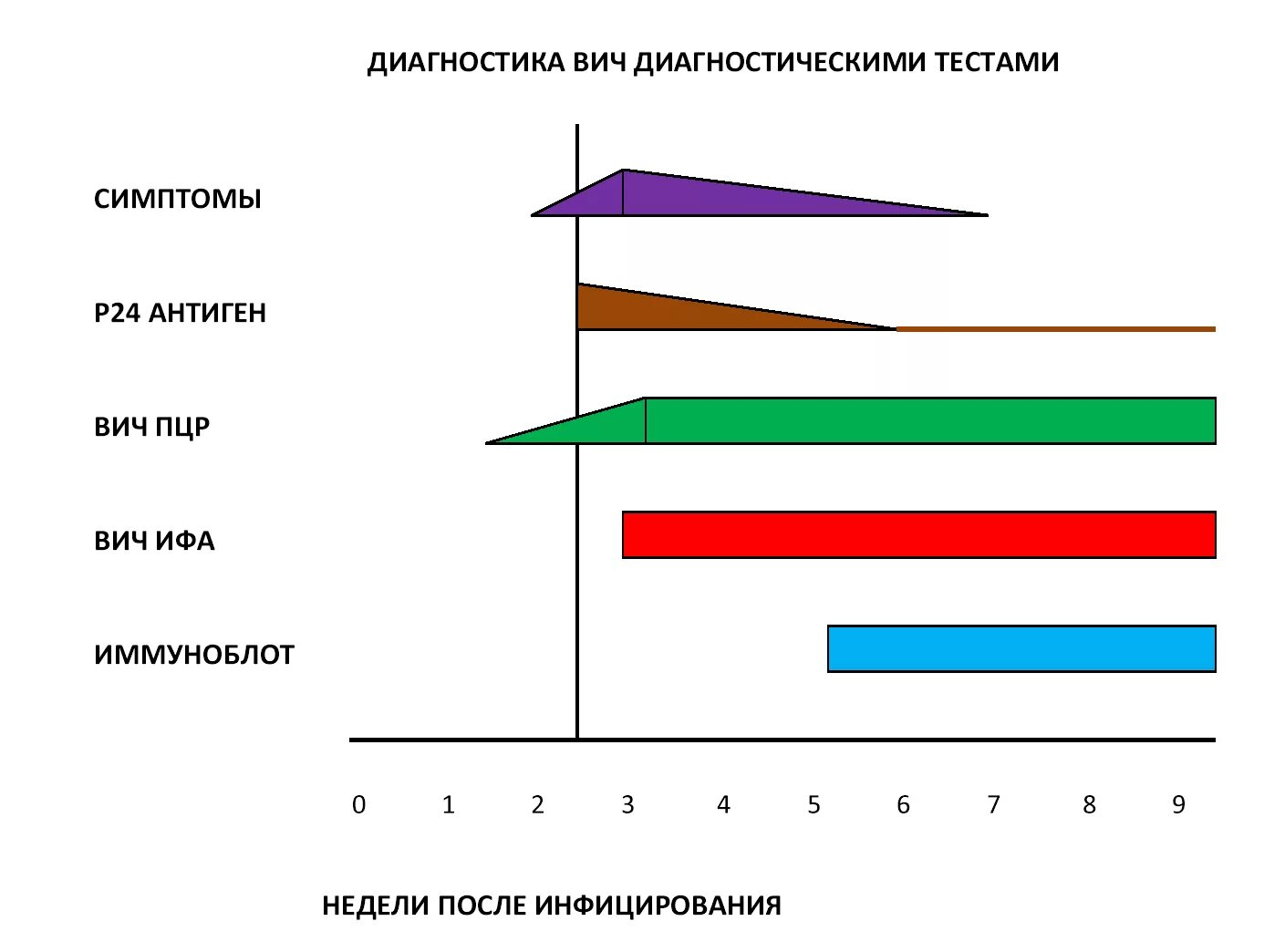 Тест на вич после контакта. ИФА 4 поколения на ВИЧ. Достоверность ПЦР теста на ВИЧ. Достоверность ИФА 4 поколения на ВИЧ. Сроки выявления ВИЧ методом ИФА.