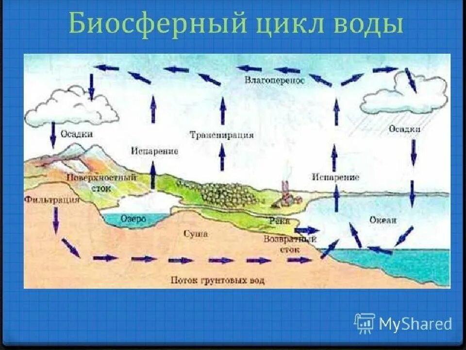 Биохимический цикл воды схема. Биохимический цикл воды в природе. Цикл круговорота воды. Биосферные цикл воды.