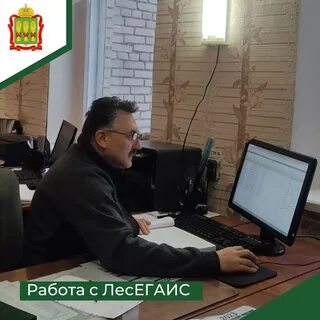 Лесегаис новости
