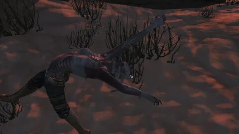 Kenshi Shek Stealth Images High Quality Resolution